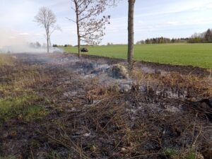 10418421_10206117820079164_4701853686475568437_n