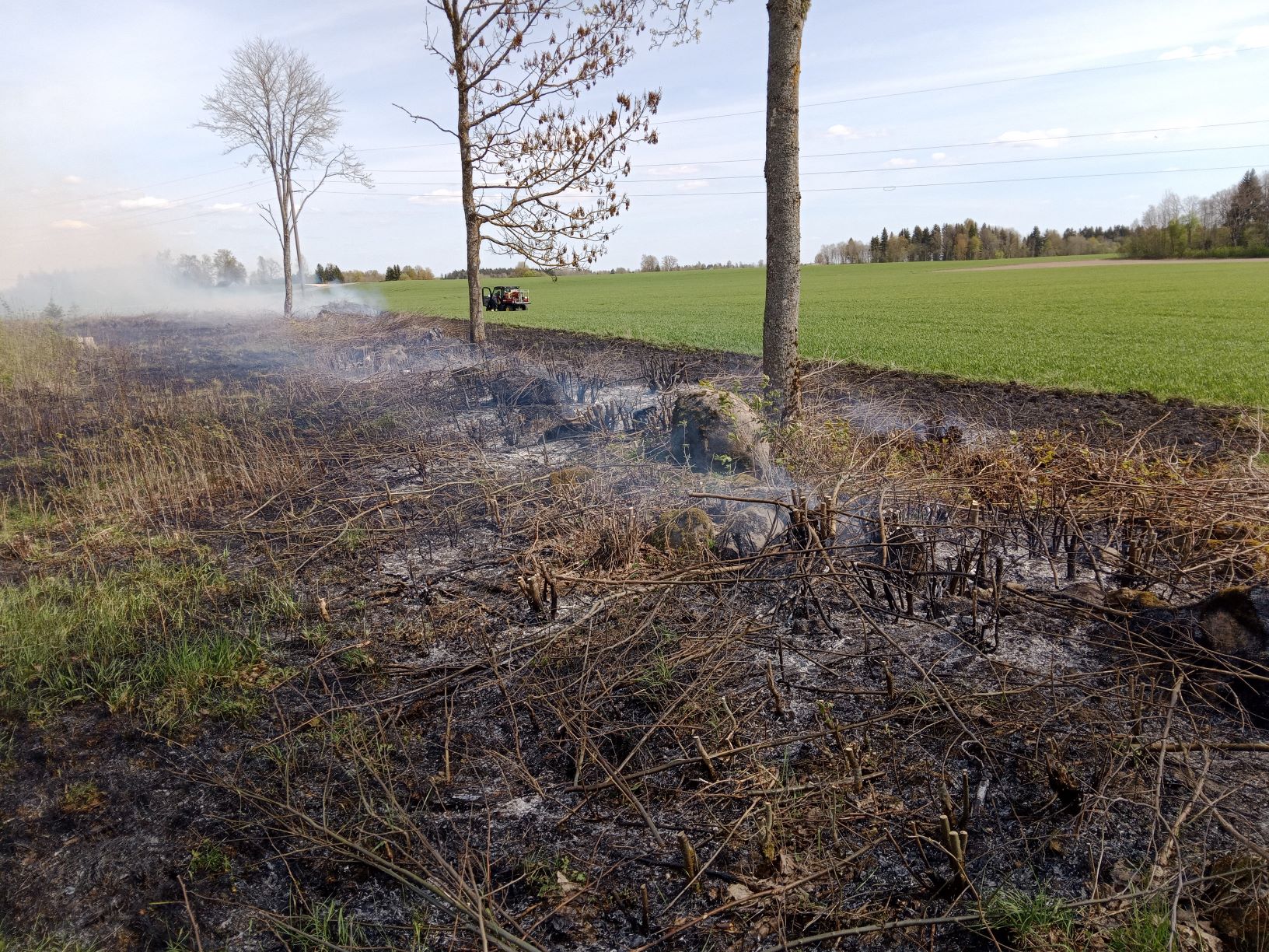 10418421_10206117820079164_4701853686475568437_n