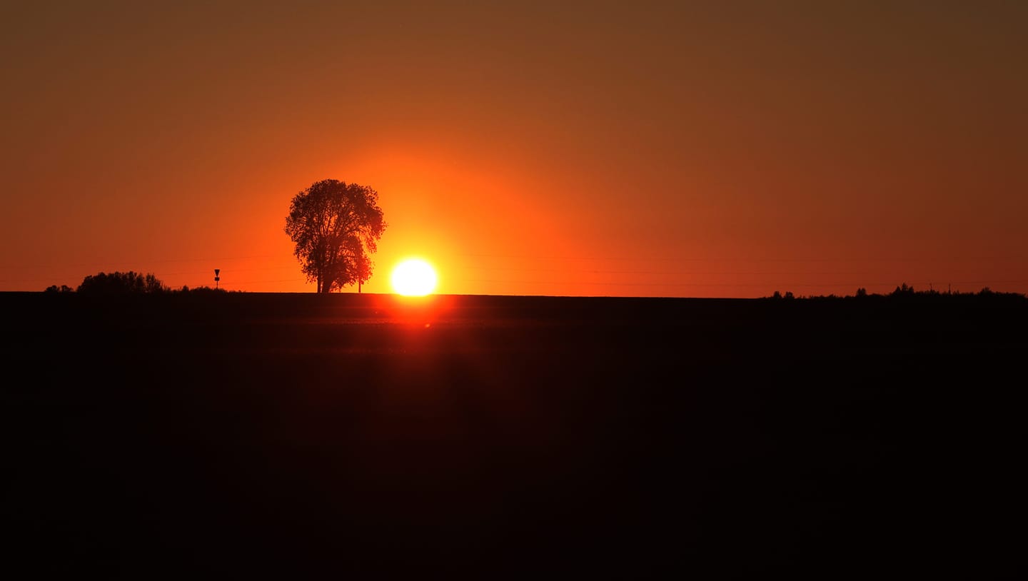 Hobifotograaf Silver