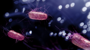 e.coli_