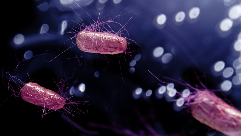 e.coli_