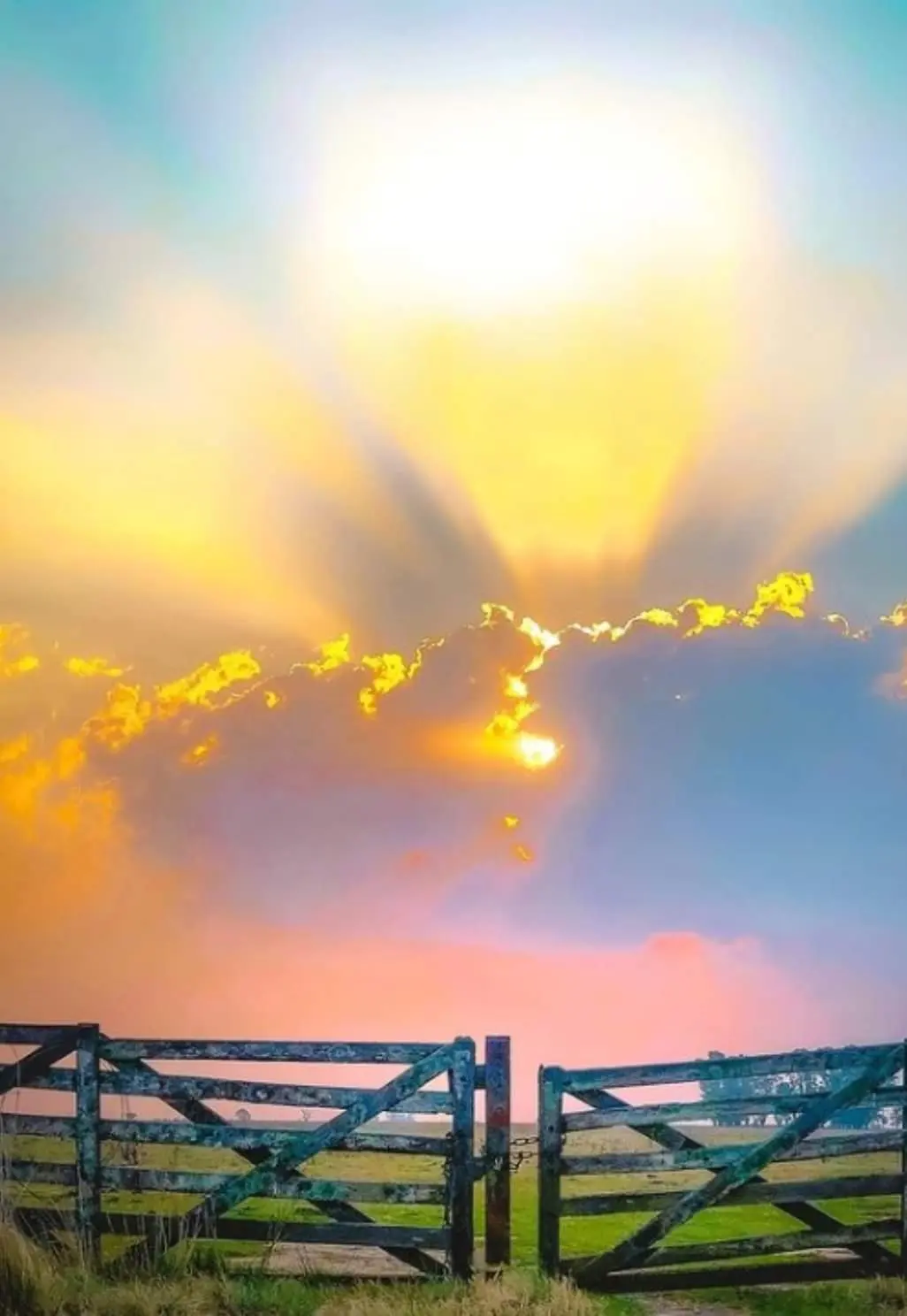 196315096_10226912113563505_5146134265719013827_n