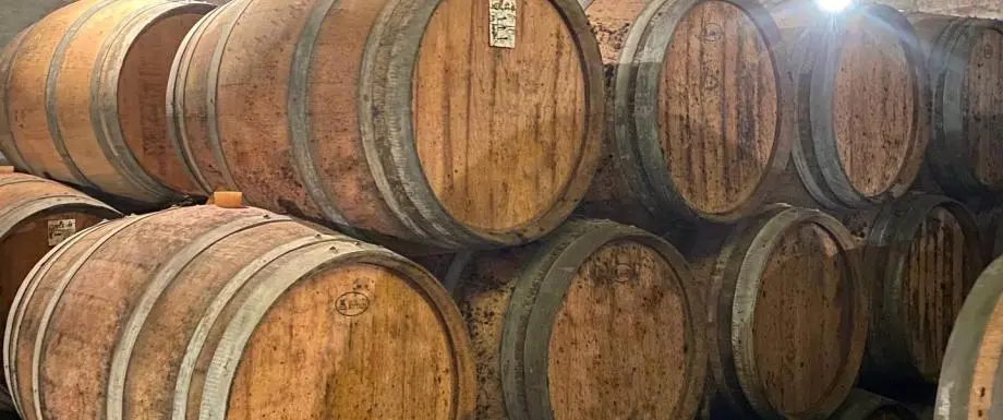 339998424_1191220748202201_4050790538318850396_n