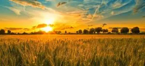 64296394_10220773074851374_1109985884779839488_n