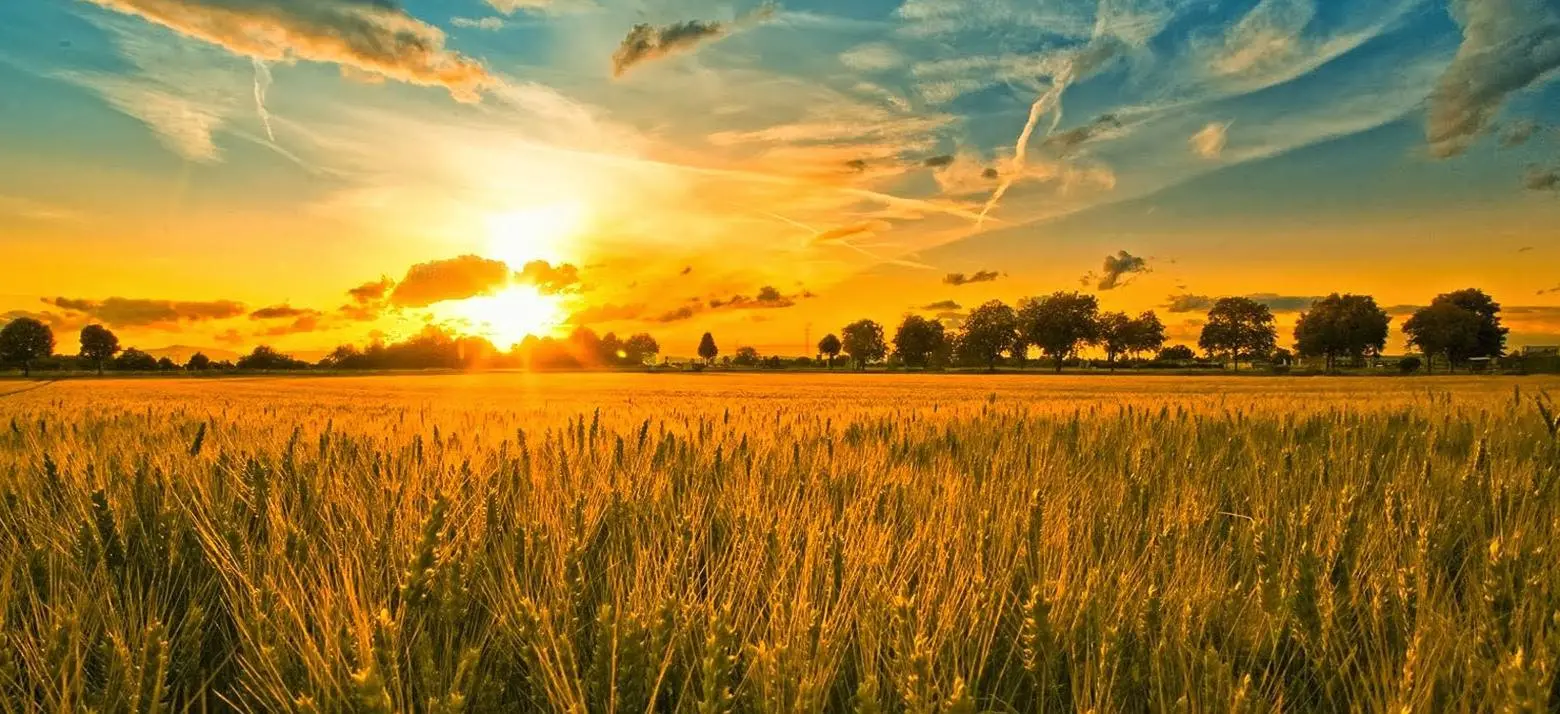 64296394_10220773074851374_1109985884779839488_n