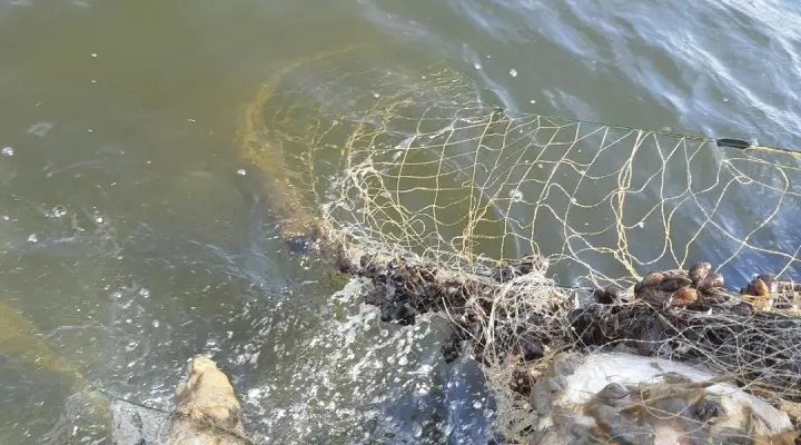 Tragimine Peipsil_foto autor Keskkonnaamet