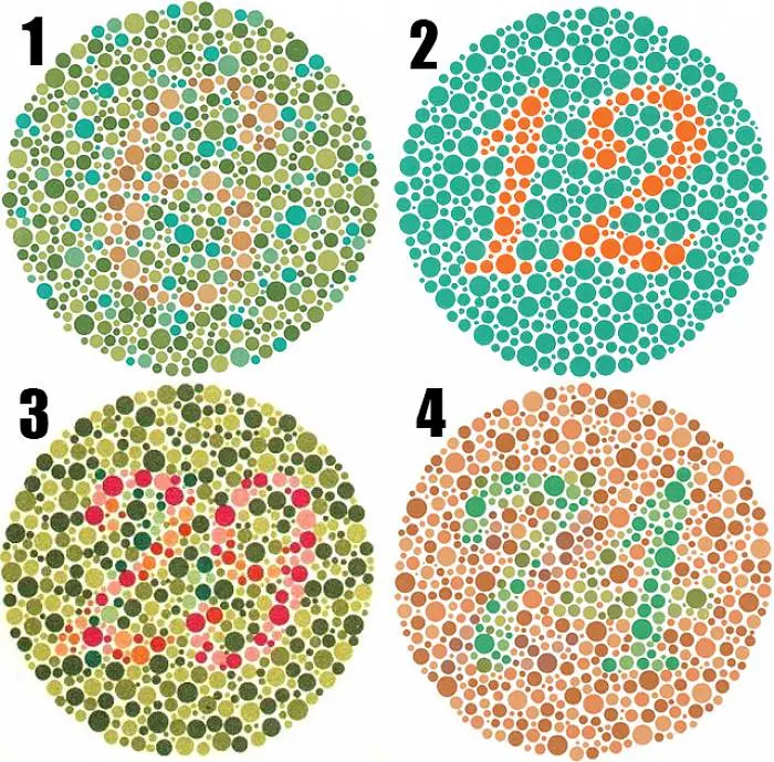 1596025399047-barvocit1-app-700x0