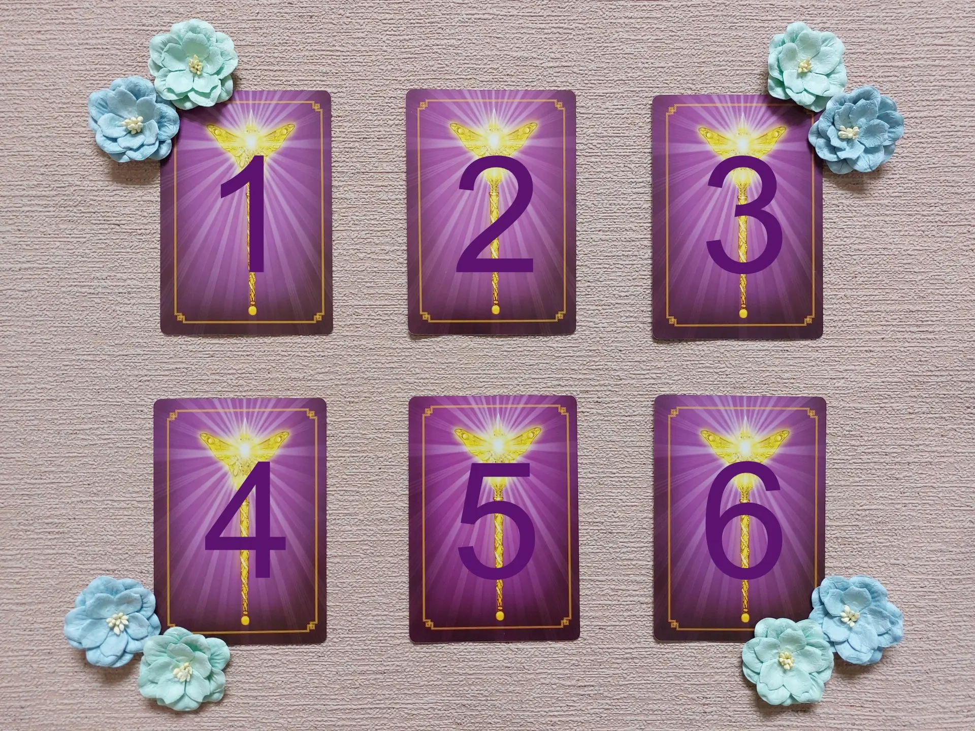 354227921_696052005865331_1256492580140078715_n