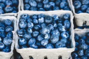 blueberries-gb005aa1ed_1280