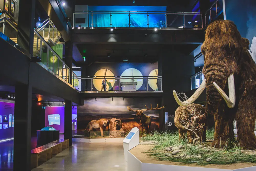 jaaajakeskus-DSC_9556-scaled-e1619429610744