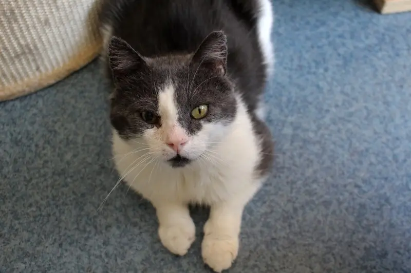 362297694_684695443702950_7116484230139246216_n