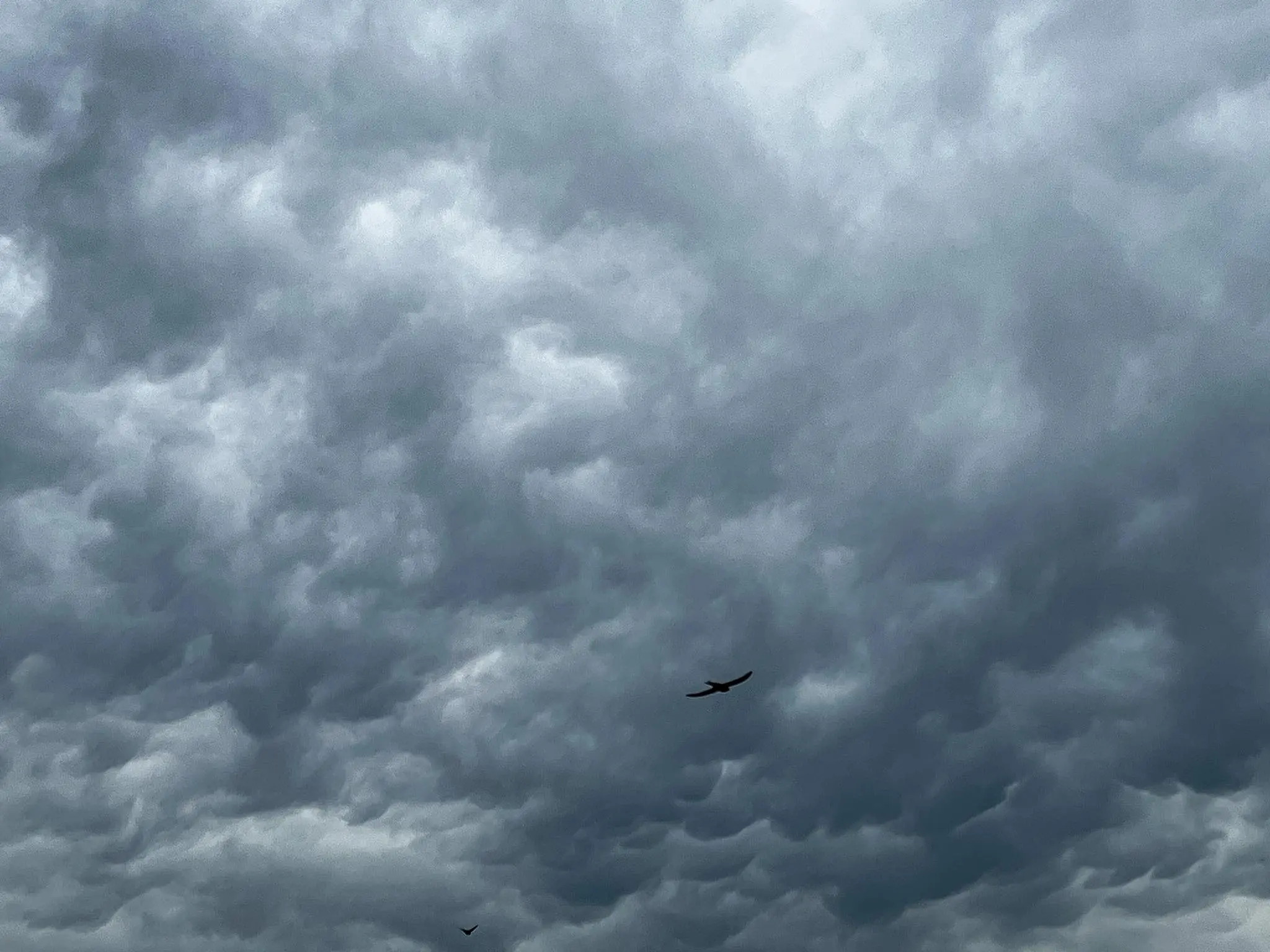 364196060_1058839641754341_5422043186323451505_n