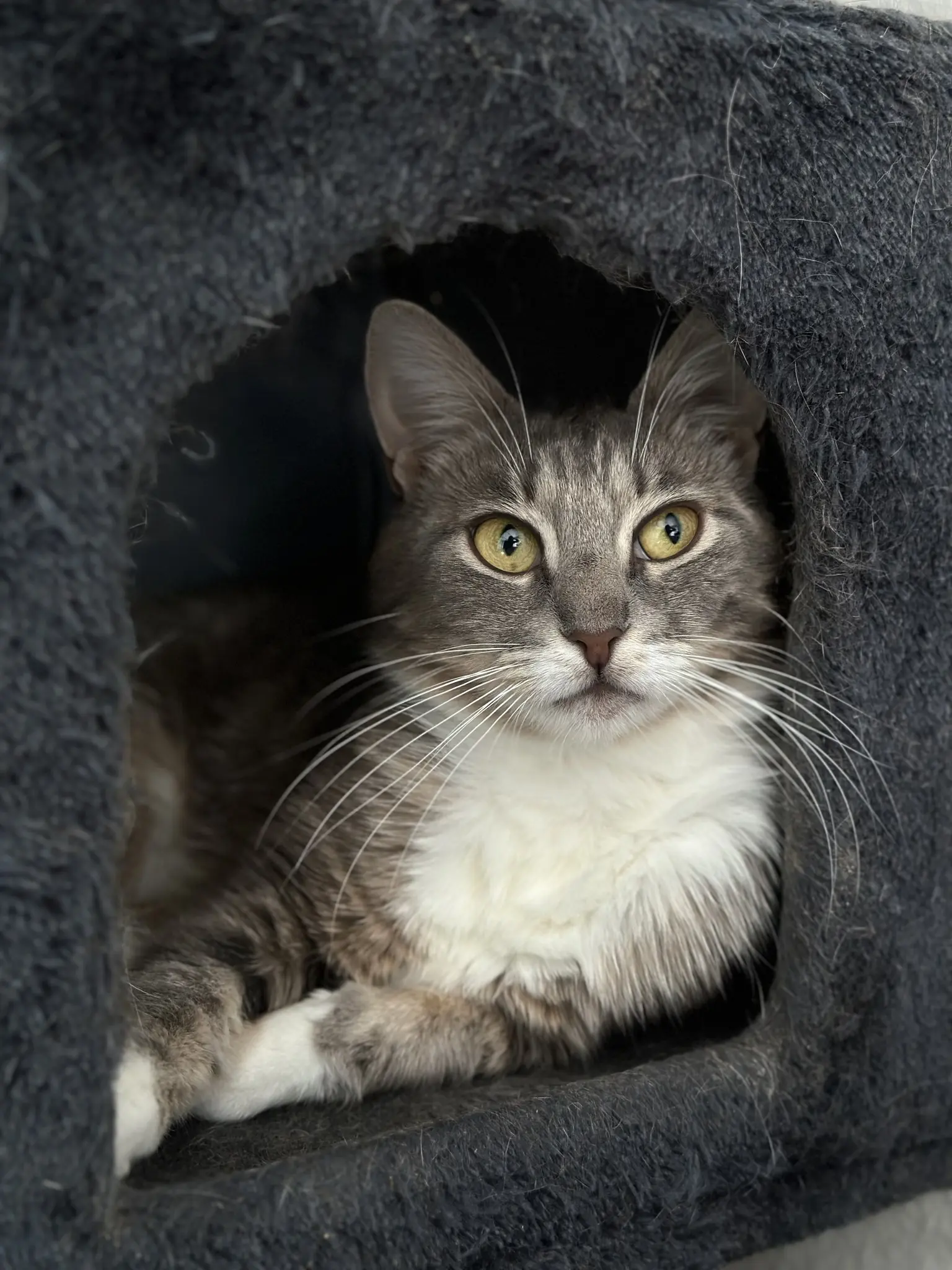 365165849_684721280367033_2231881712093641514_n