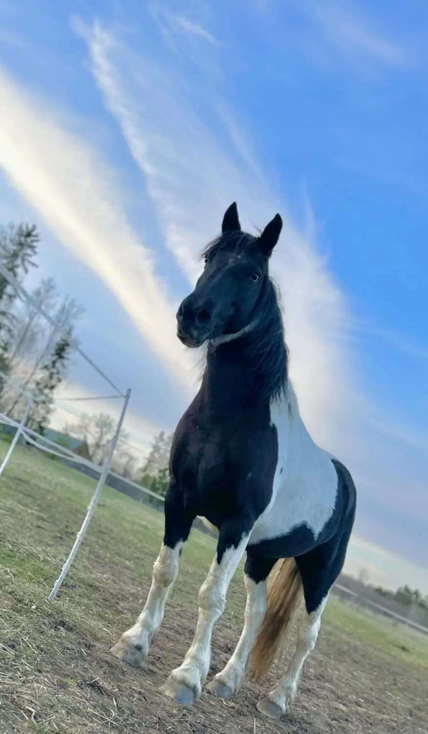 368695442_10159152600541174_4601498238053986681_n