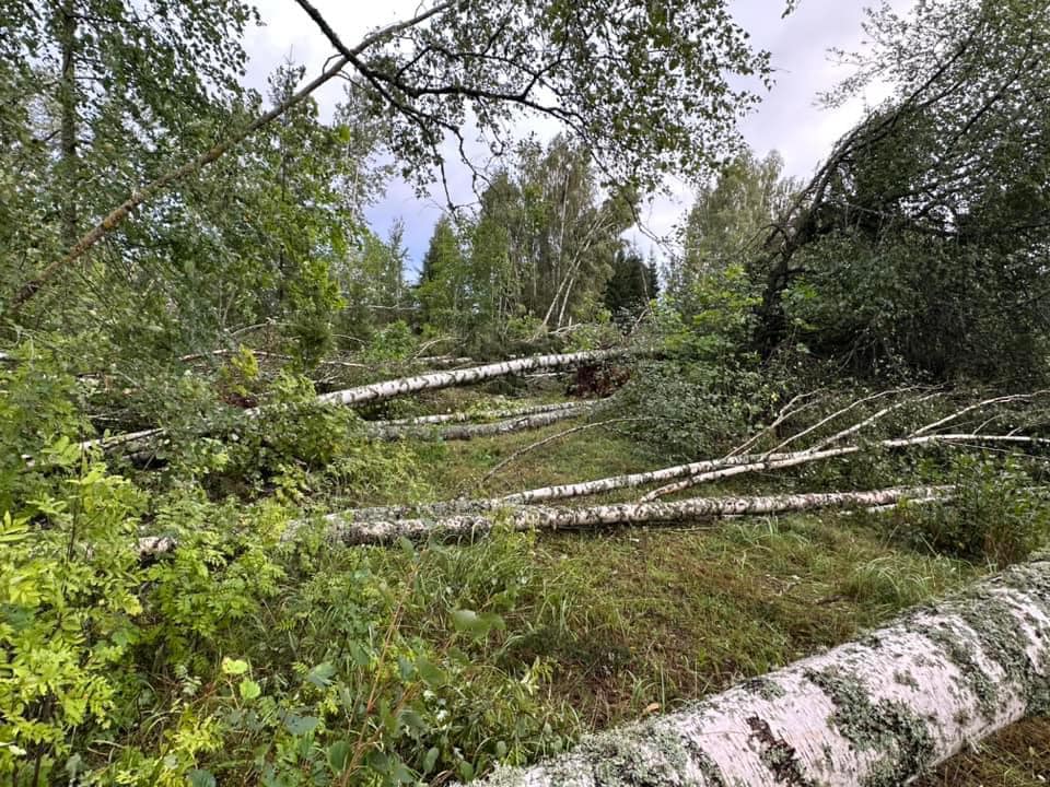 369698565_872831791067556_8026091560436086401_n