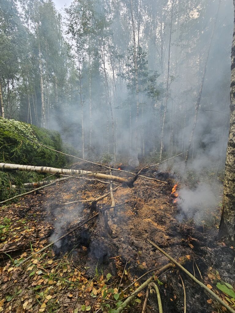 Narva-Jõesuus põles 300 ruutmeetri suurune metsaala. PILDID. 9 Auvere metsapoleng 21.08.23 1514