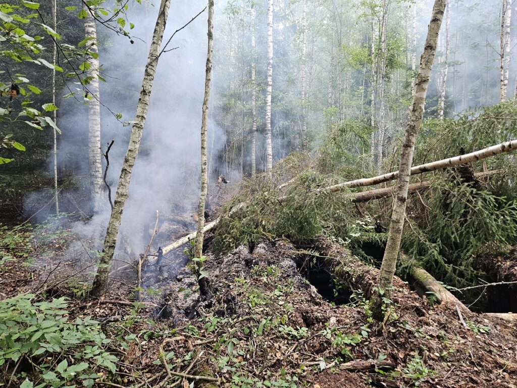 Narva-Jõesuus põles 300 ruutmeetri suurune metsaala. PILDID. 8 Auvere metsapoleng 21.08.23 2513