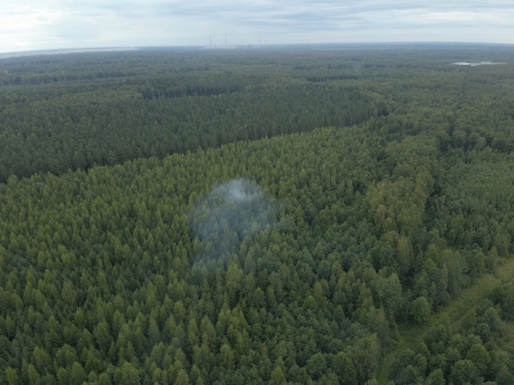 Narva-Jõesuus põles 300 ruutmeetri suurune metsaala. PILDID. 6 Auvere metsapoleng 21.08.23 4512