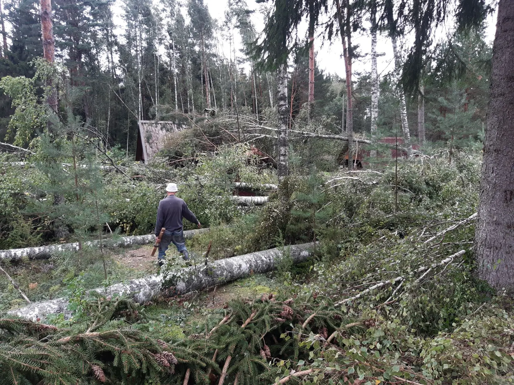 Häätaru k murd[572]