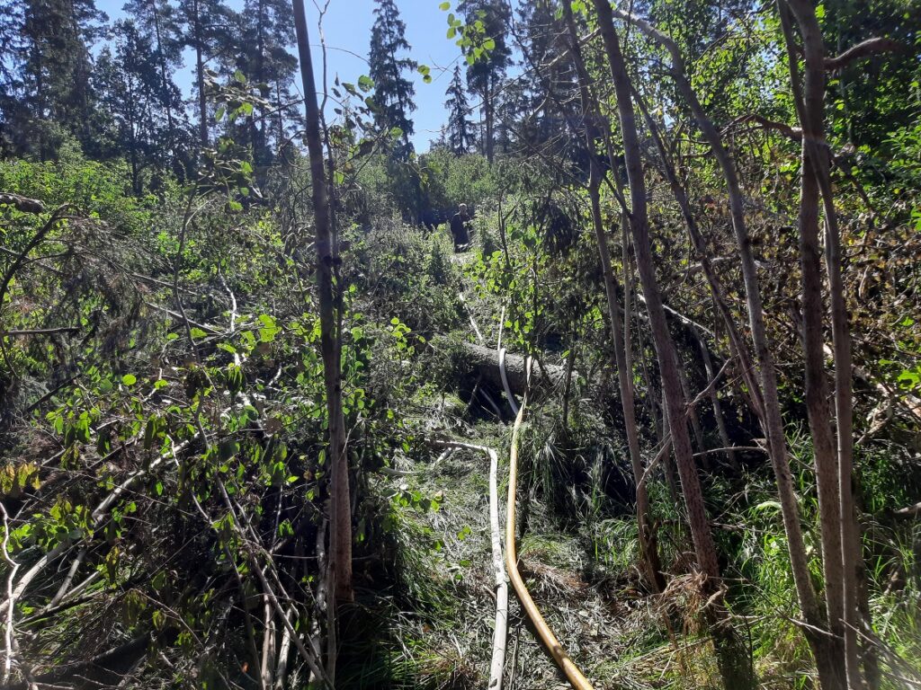 Valga linnas Tambre lähedal põles metsaalune. PILDID. 6 Valga metsapoleng 12.08.23 2452