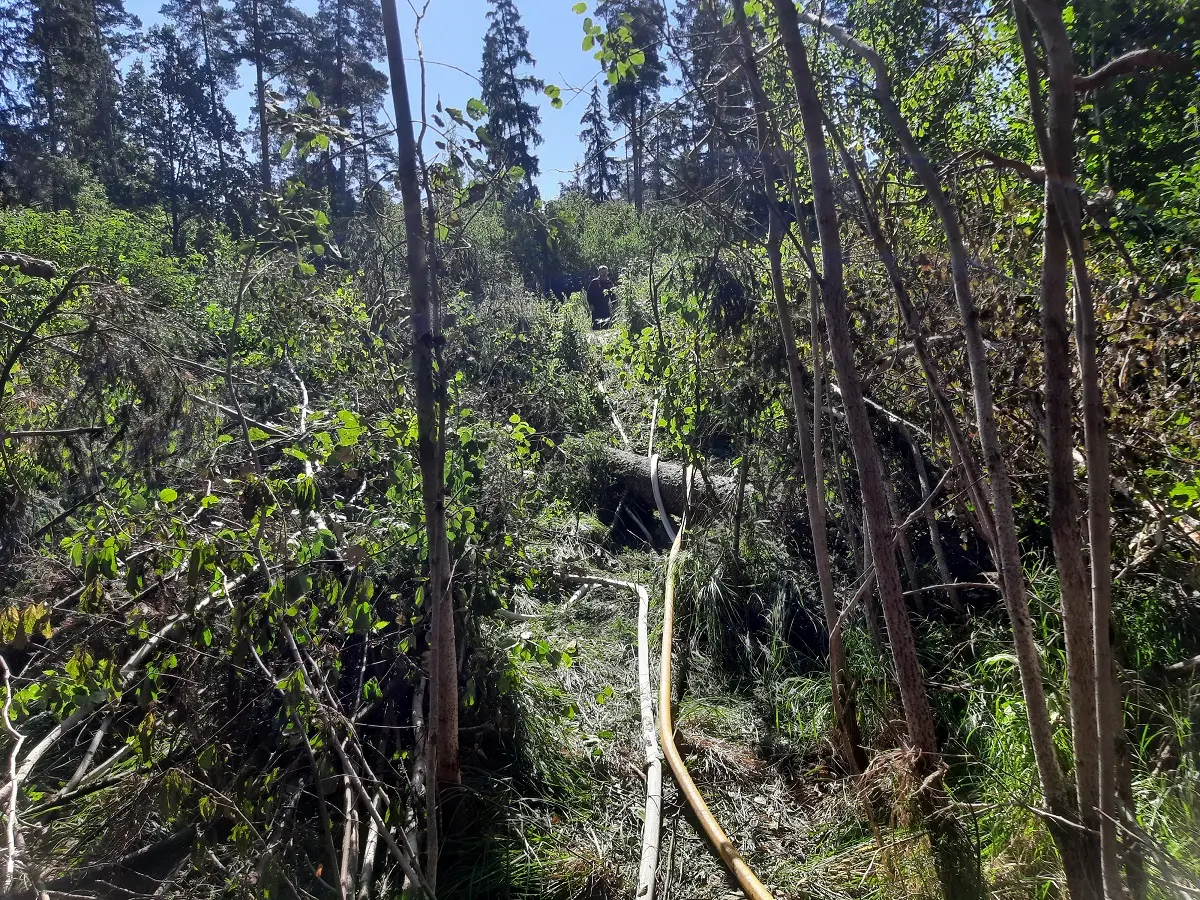 Valga_metsapoleng_12.08.23_2[452]