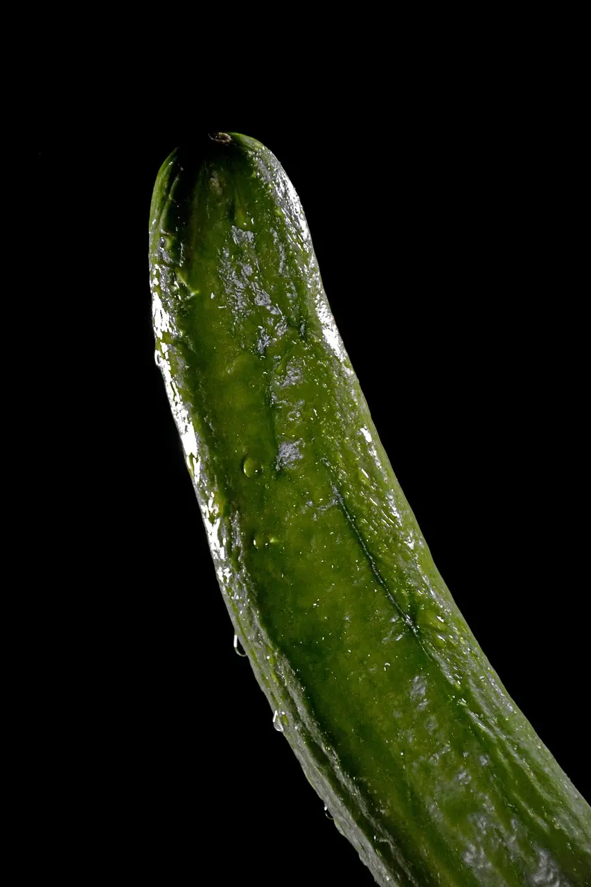 cucumber-3163704_1280