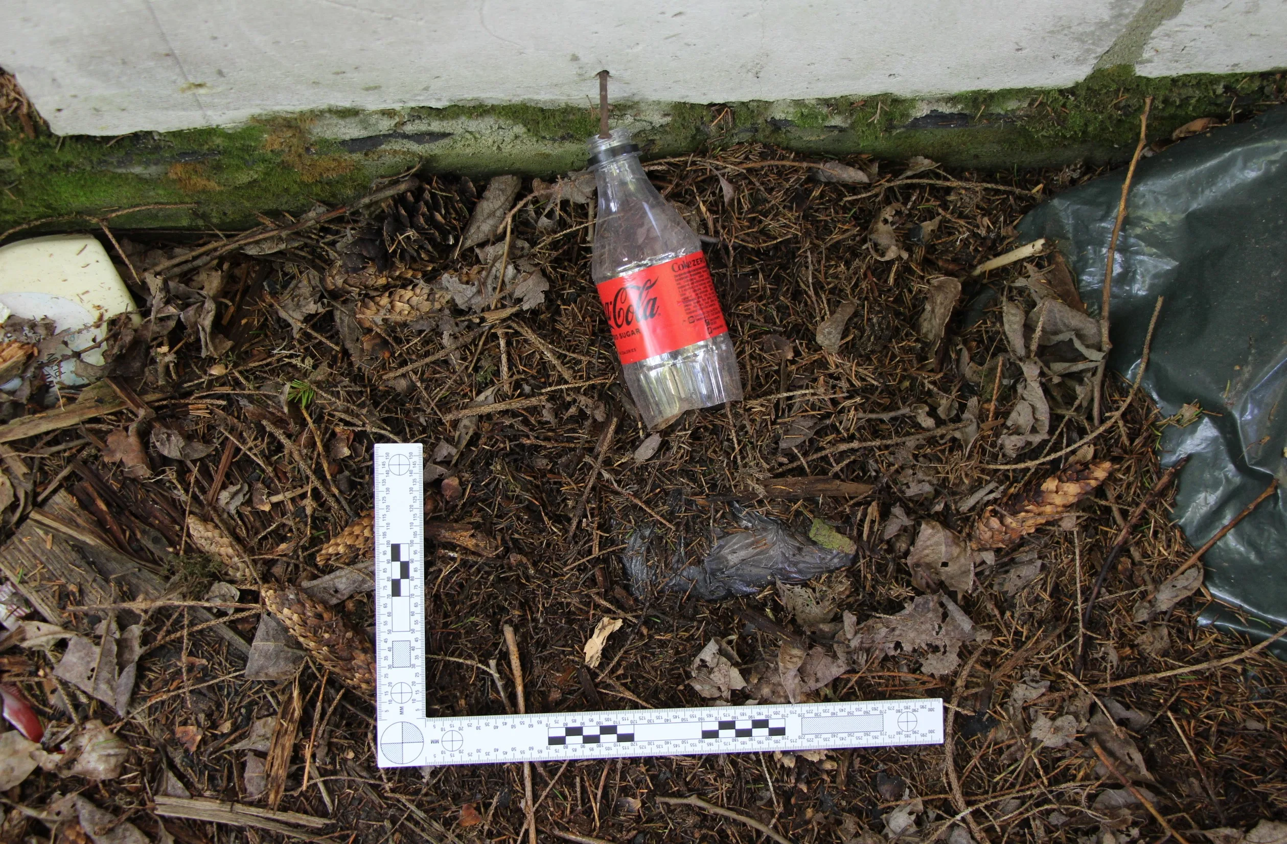 Politsei pidas kinni Läti kodanikust mehe, keda kahtlustatakse kokaiini vahendamises 5 foto1556 jpg