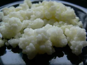 1973901_10204952338987619_4070054667314375029_o