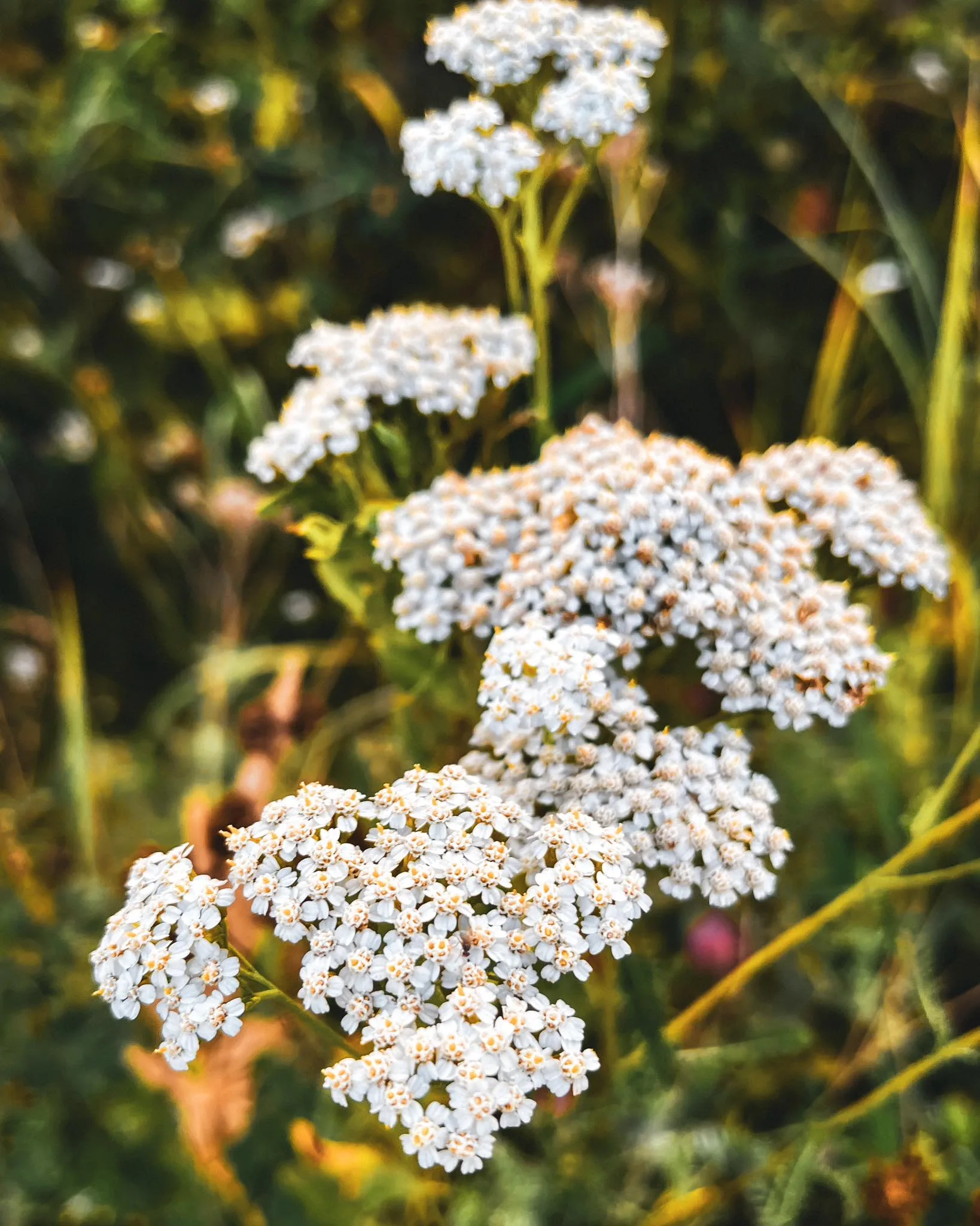 373420261_880101146871725_416399999165974191_n