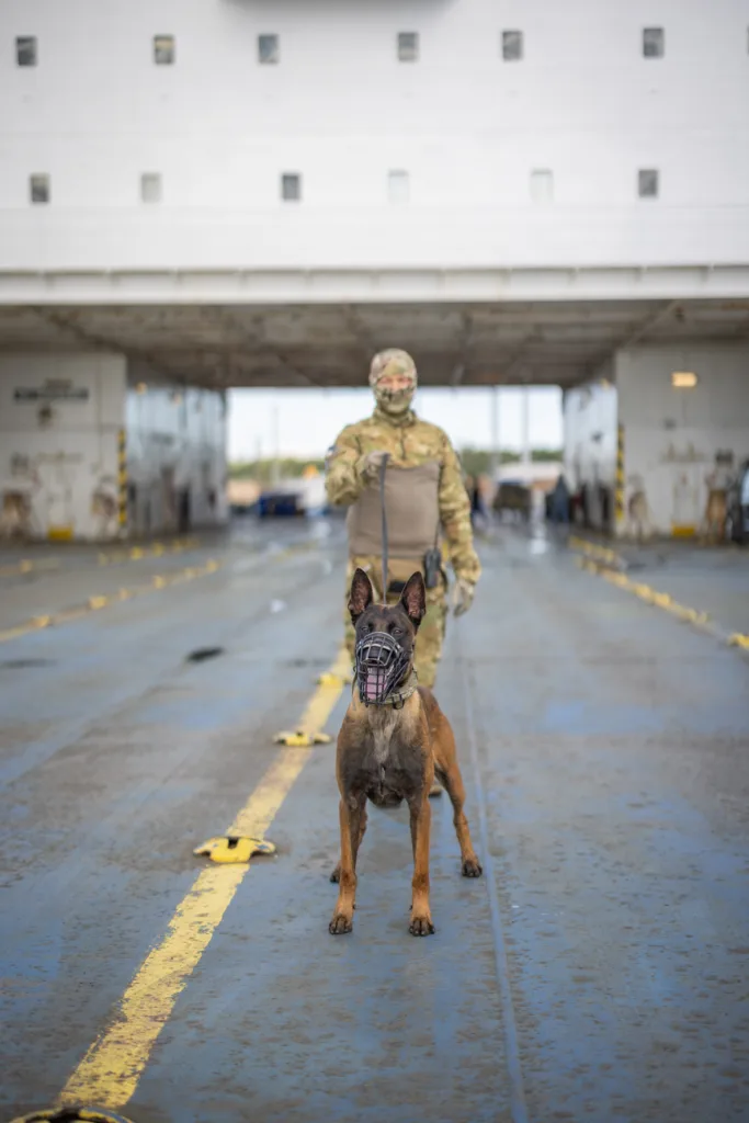 374214884 605985068389260 3946994577291362623 n