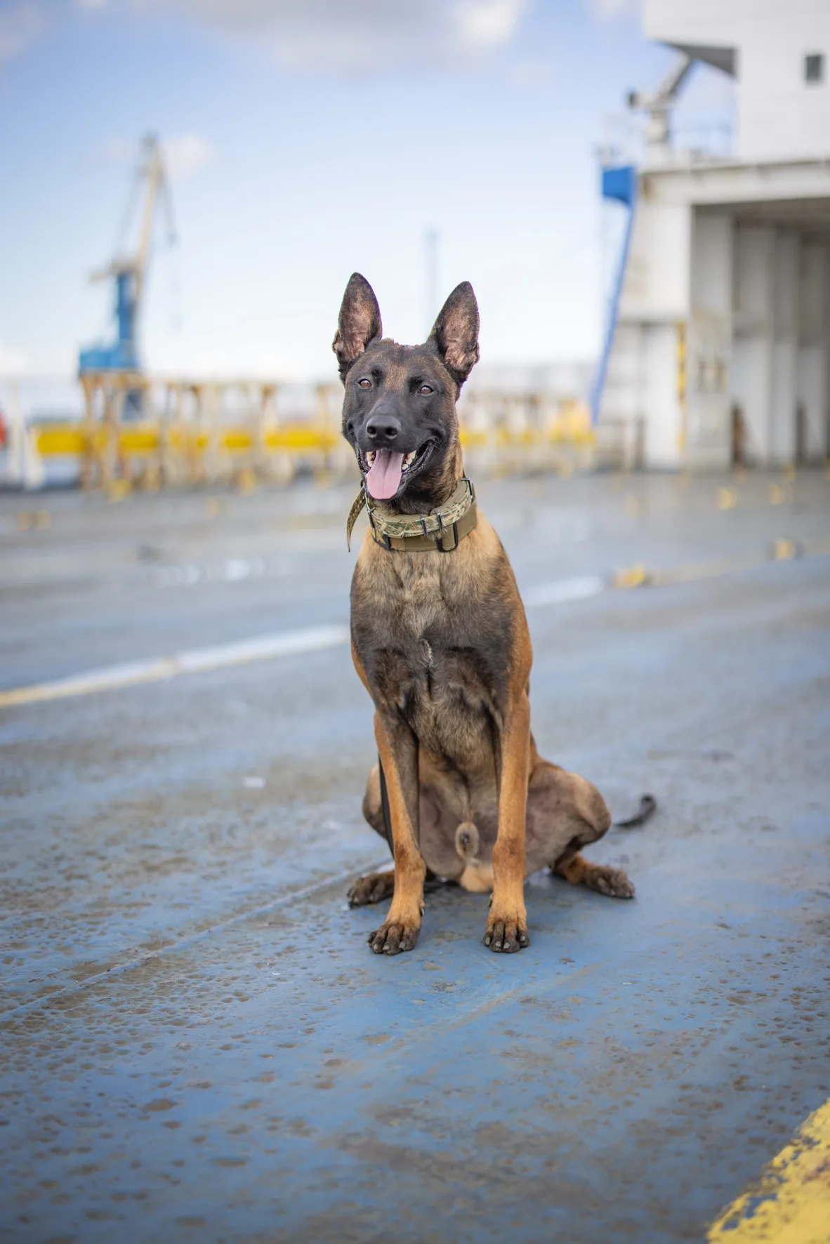 374282639_605984885055945_6609010206704354681_n