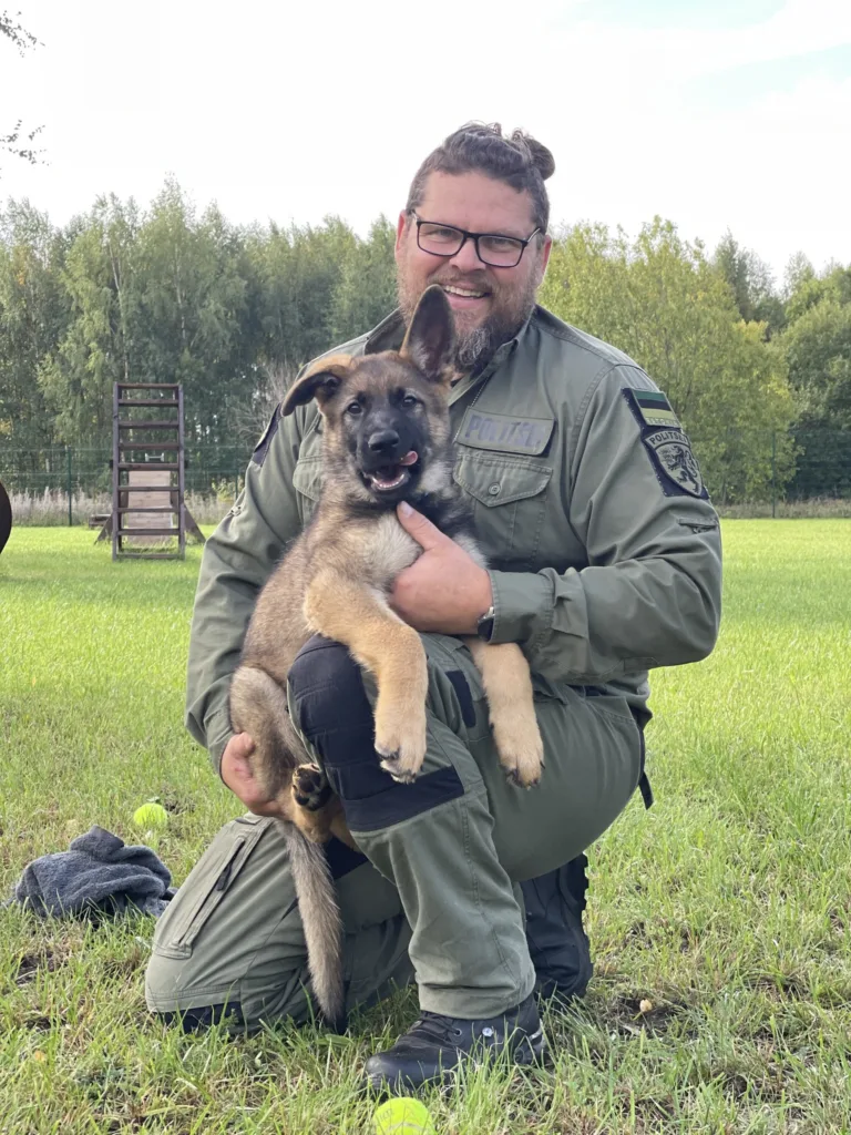 379056133 732729305564593 6078776087215064029 n