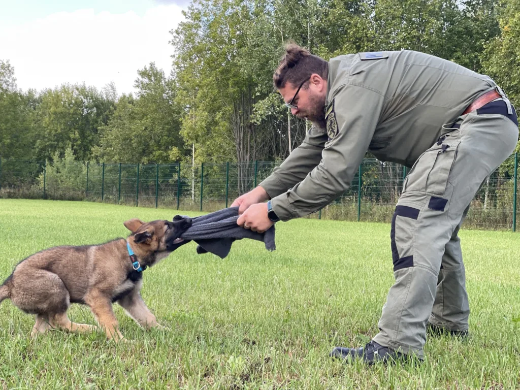 379304768 732729715564552 2503283952305967107 n