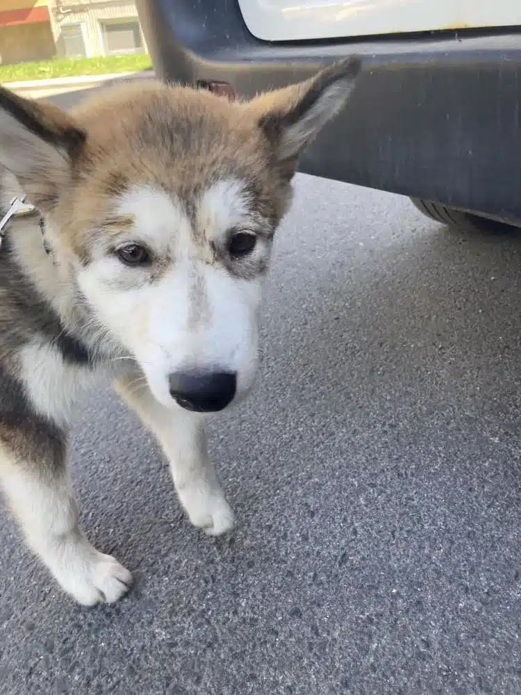 384765348_703257285163304_6044322994949126692_n