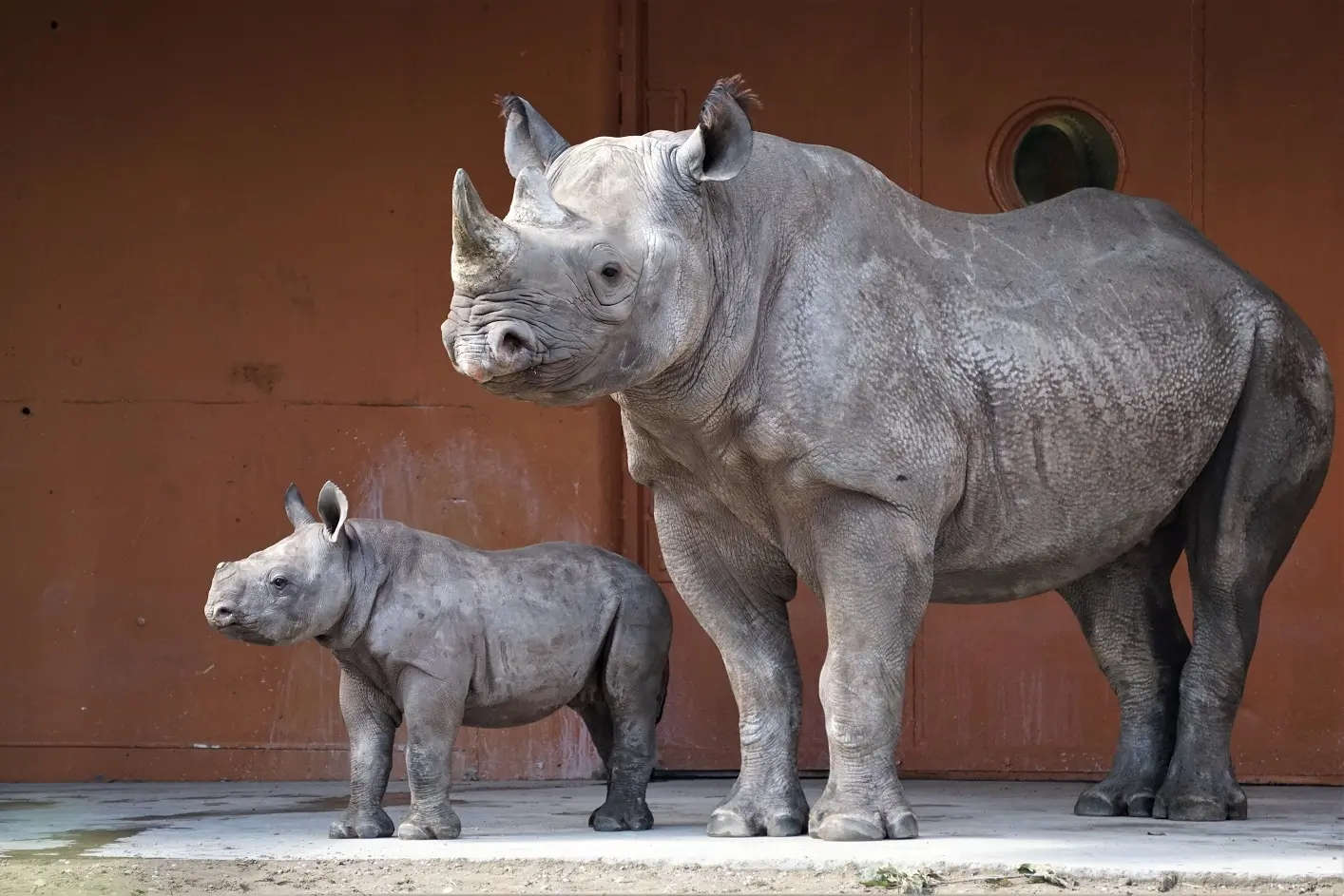 Kibibi-ja-Kibeta_foto-Inari-Leiman