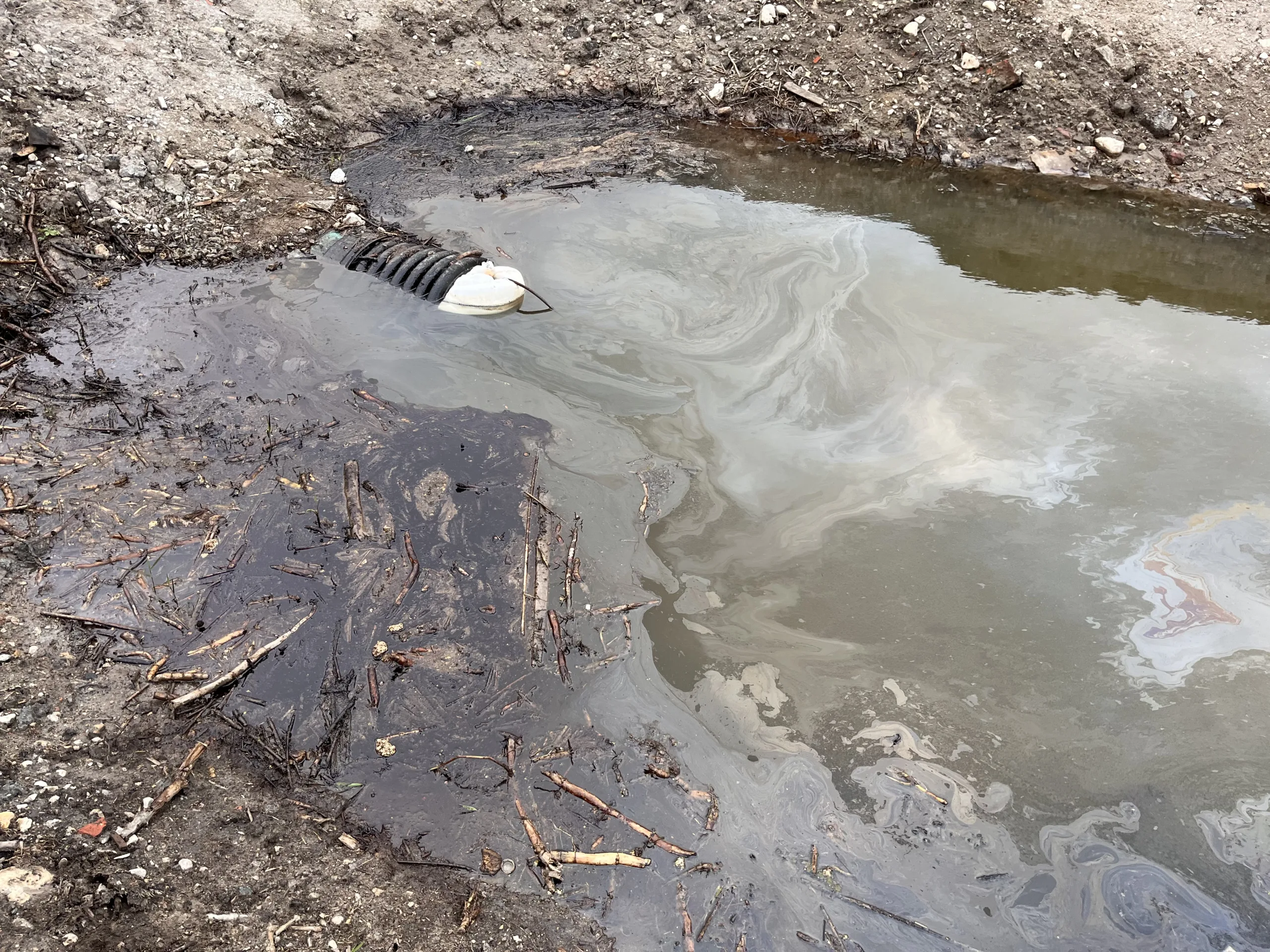 Merepoolne truup[617]