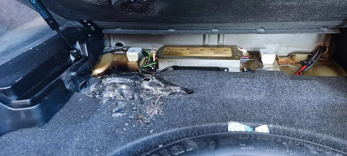 Narva_autopoleng_16.09.23[698]