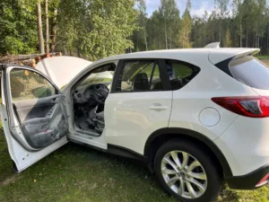 Puusepa autopõleng[660]