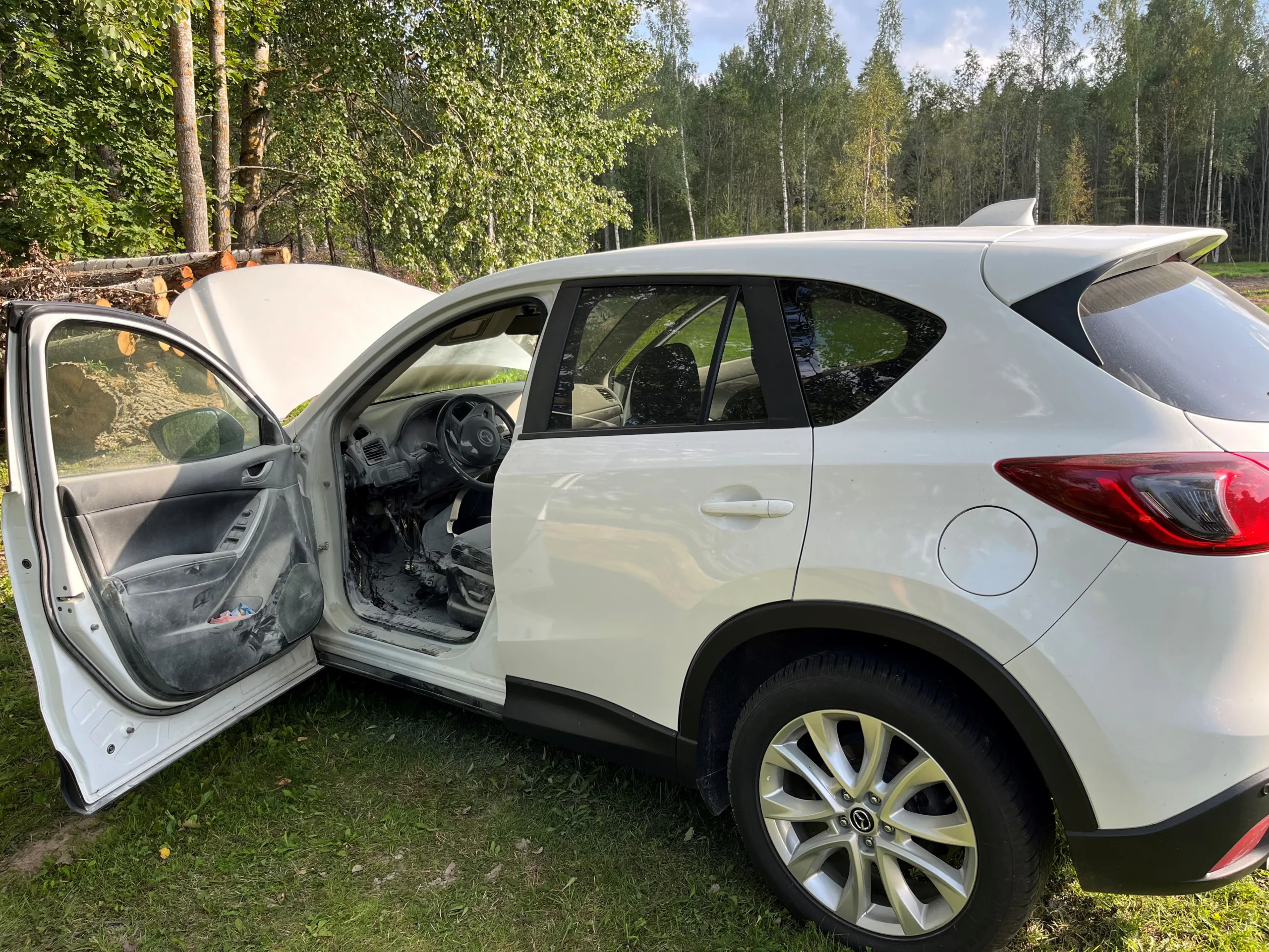 Puusepa autopõleng[660]