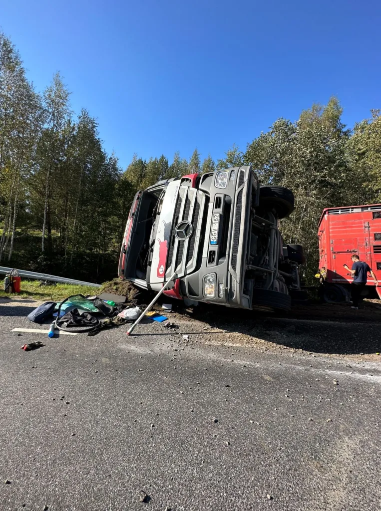 Haagisega veok, mille koormaks olid veised, sõitis kraavi ja veok paiskus küljele. 3 Rulli kula veiseveok 2738