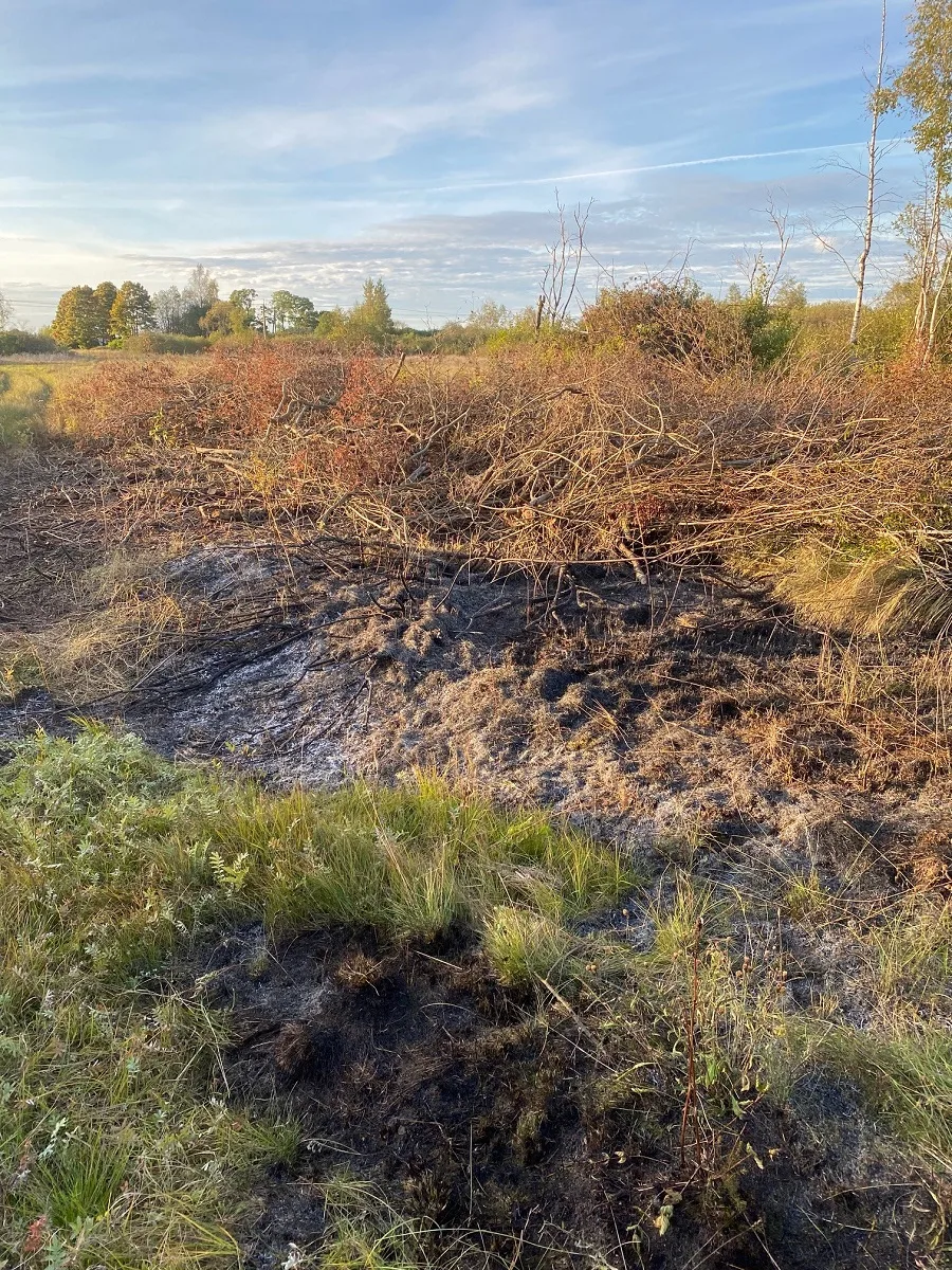 Sillamae_maastikupoleng_16.09.23[697]