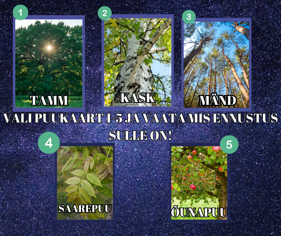 VALI PUUKAART 1-5 JA VAATA MIS ENNUSTUS SULLE ON!