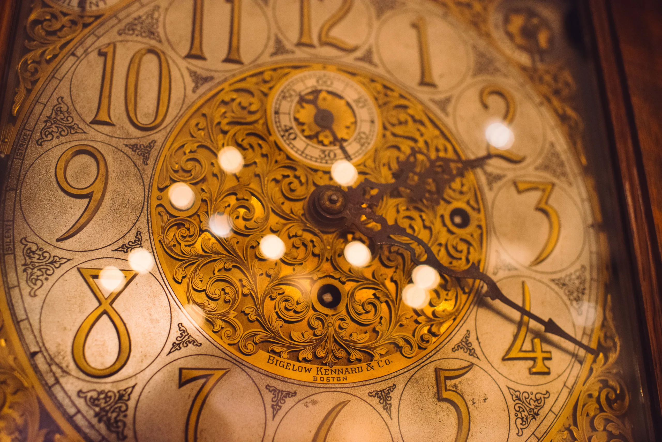 ella-de-kross-T_o1foxyZJY-unsplash