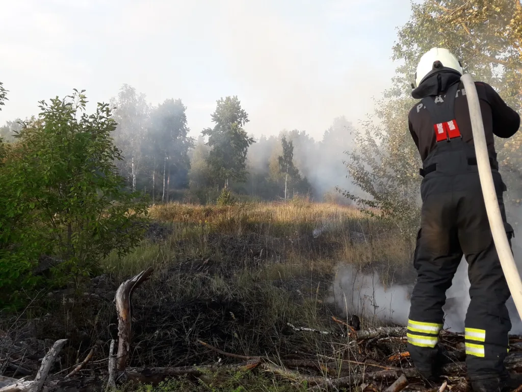 Kohtla-Järvel põles kulu ja Lüganuse vallast päästeti veevõtutiigist kass. 5 paastjad1