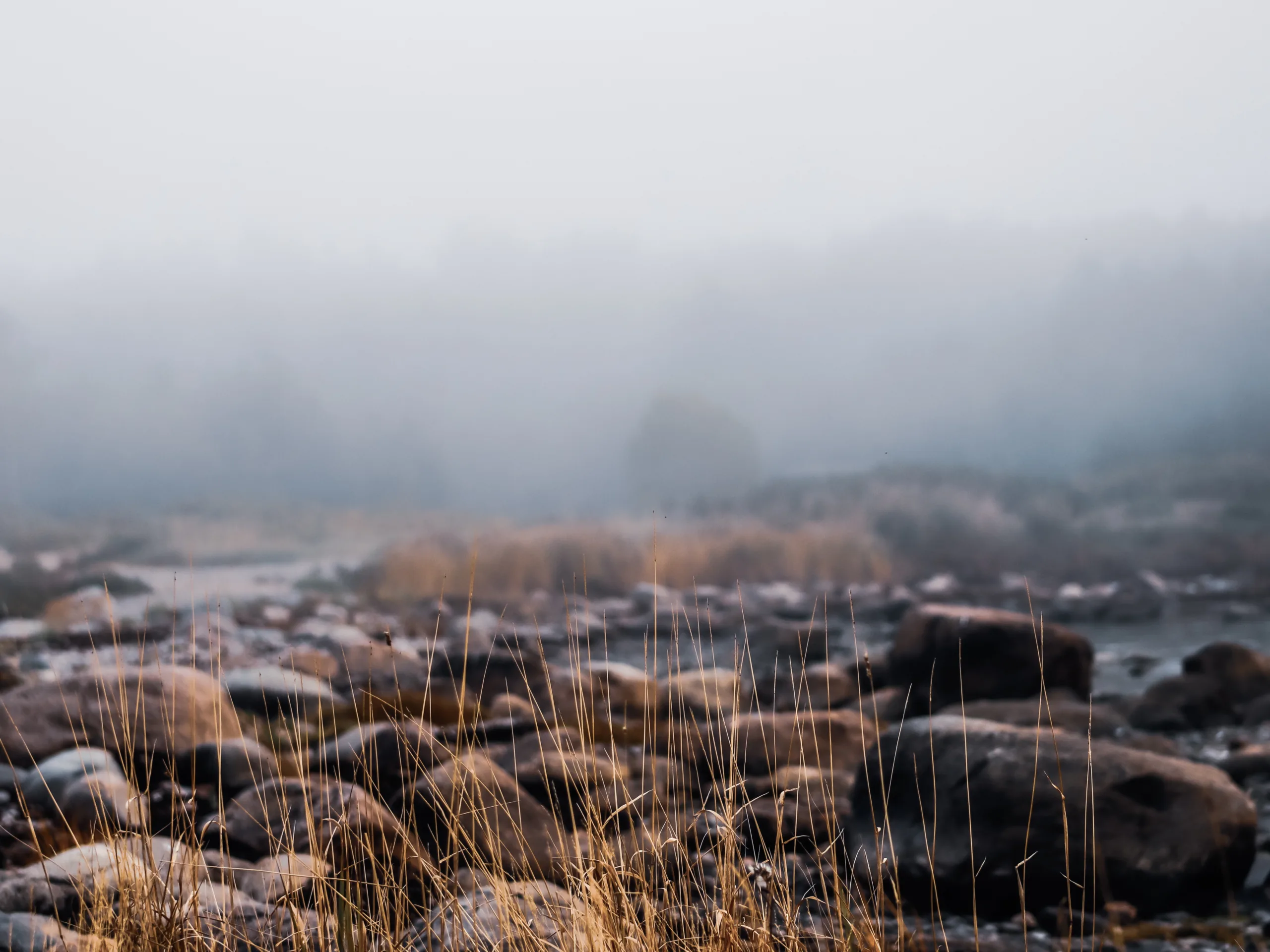 20210911143831__MG_0220