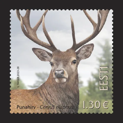 840_punahirv_Web_840_punahirv_mark_mustal_47361_