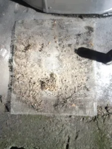 Ummistunud filter_18.10[885]