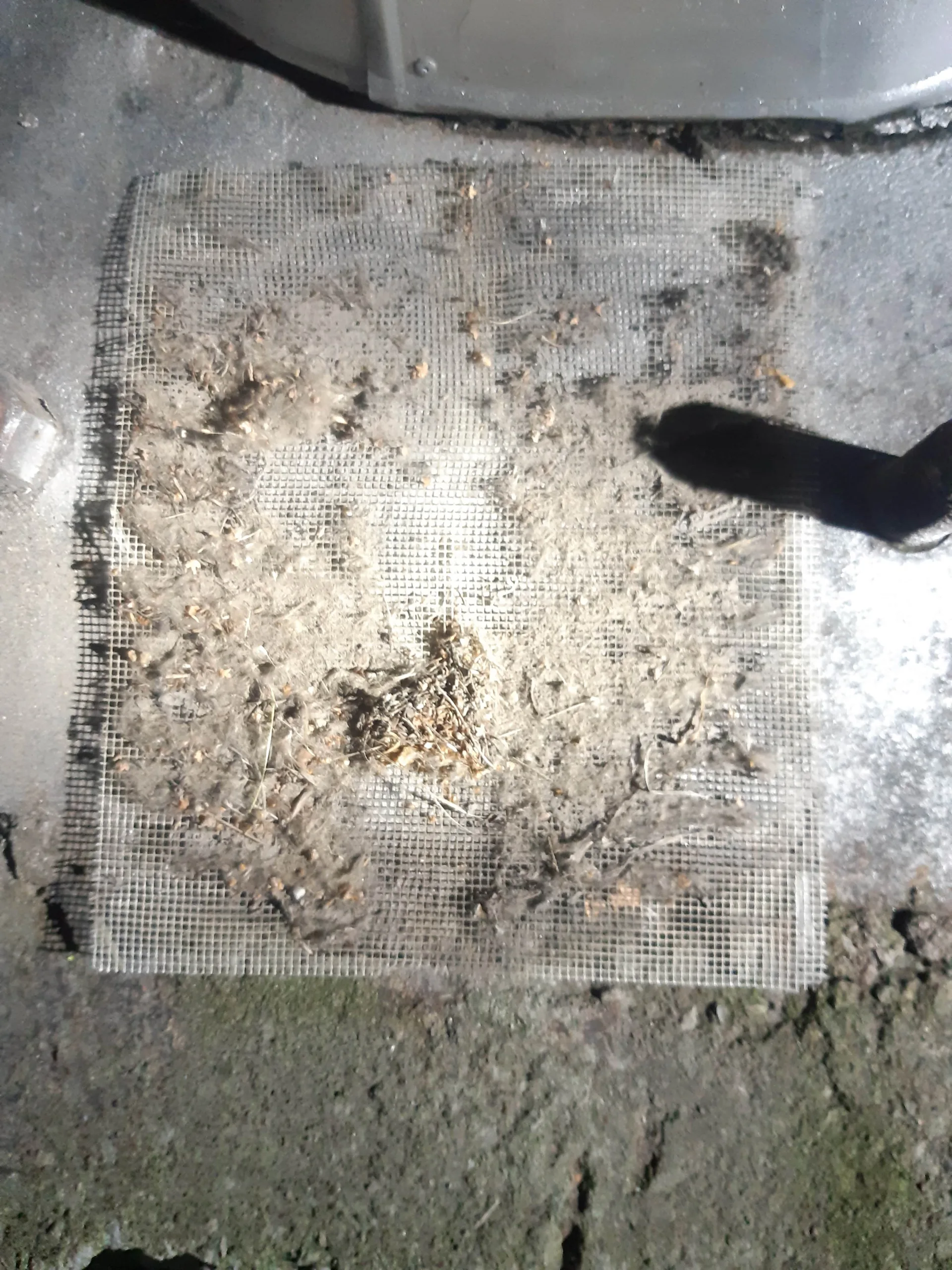 Ummistunud filter_18.10[885]