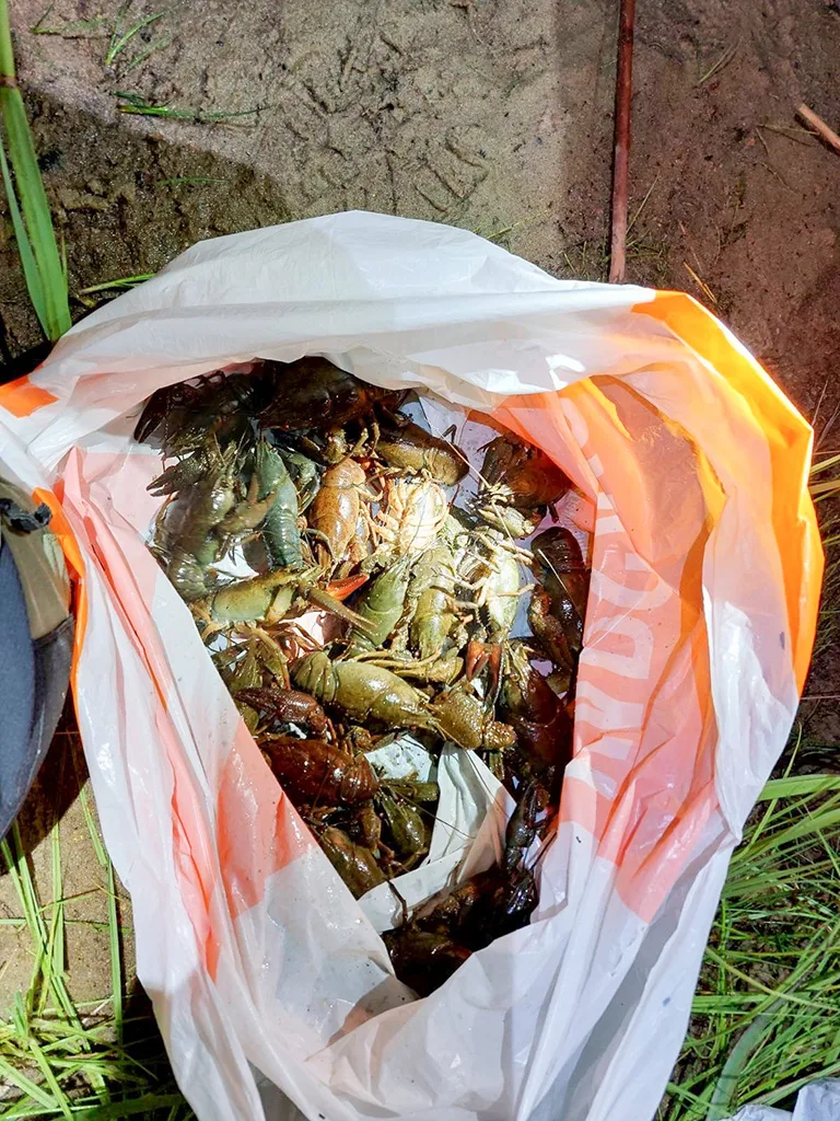 Vahid_foto-Keskkonnaamet