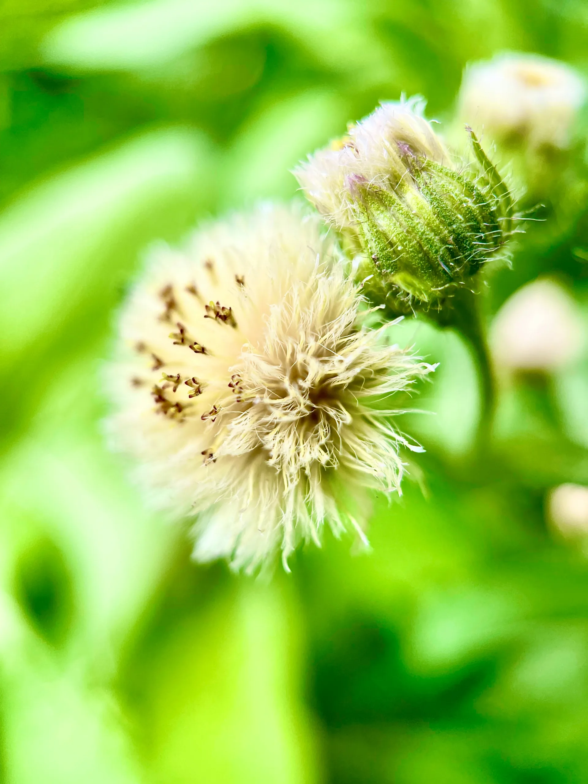 israel-pina-V85sH2OxkMY-unsplash